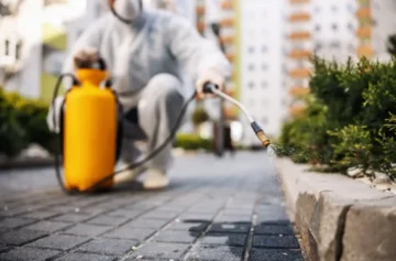 Mais do que dedetização, entregamos soluções reais para sua tranquilidade.