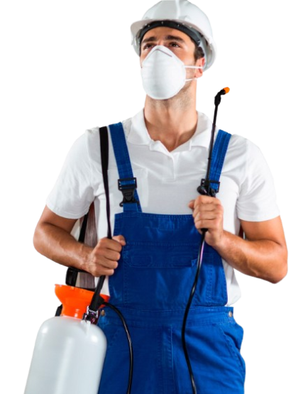 image-removebg-preview (80)